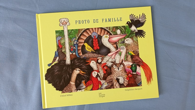 Page de droite, tout a lieu dans ce même morceau de forêt verdoyante, foisonnante.
Ils sont tous là : les oiseaux du monde.